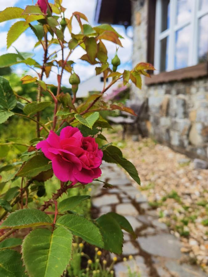Ferienhaus Eifelrose Simmerath Exterior photo