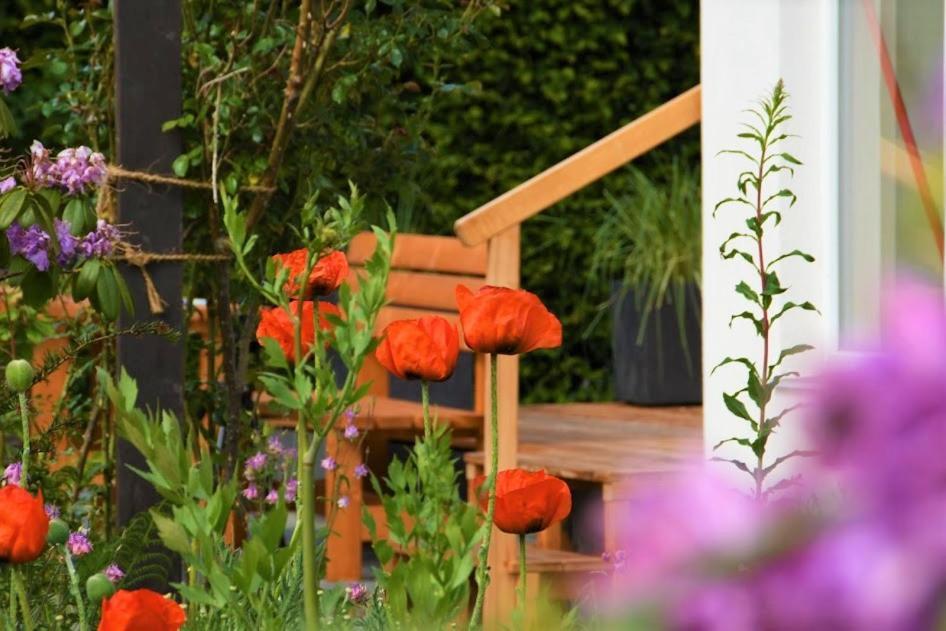 Ferienhaus Eifelrose Simmerath Exterior photo